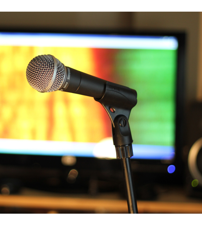 Micro Shure SM58S