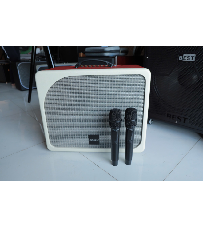 Loa karaoke di dong PARAMAX Evox