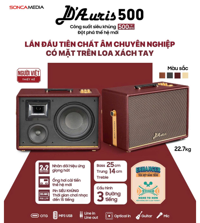 SONCAMEDIA D'Auris 500