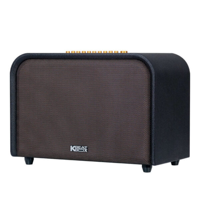 Loa Karaoke Acnos Acoustic 3 Mới Nhất