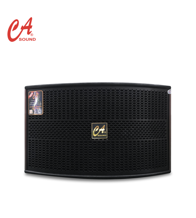 LOA KARAOKE GIA ĐÌNH BASS 25 CA SOUND K-310 PLUS