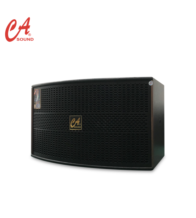 LOA KARAOKE GIA ĐÌNH BASS 25 CA SOUND K-310 PLUS