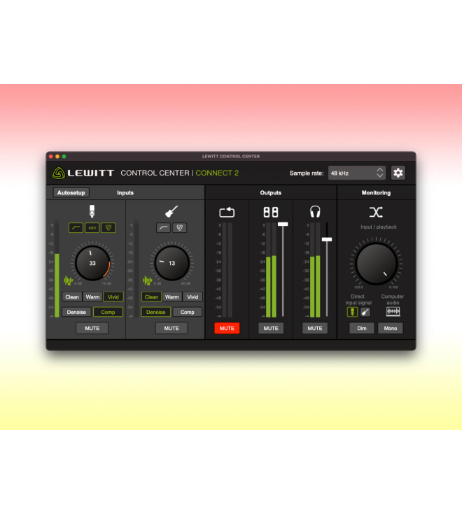 Lewitt Connect 2 | Audio Interface