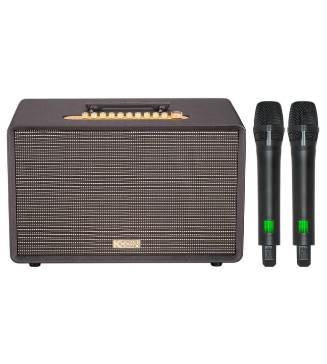 ACNOS FLAC 39 – Loa Karaoke Di Động Cao Cấp 500W RMS