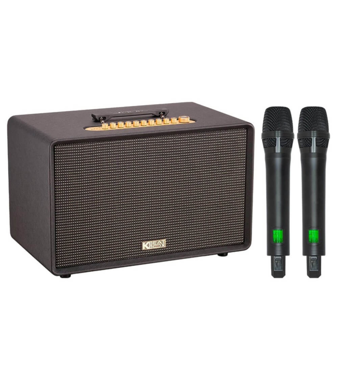 ACNOS FLAC 39 – Loa Karaoke Di Động Cao Cấp 500W RMS