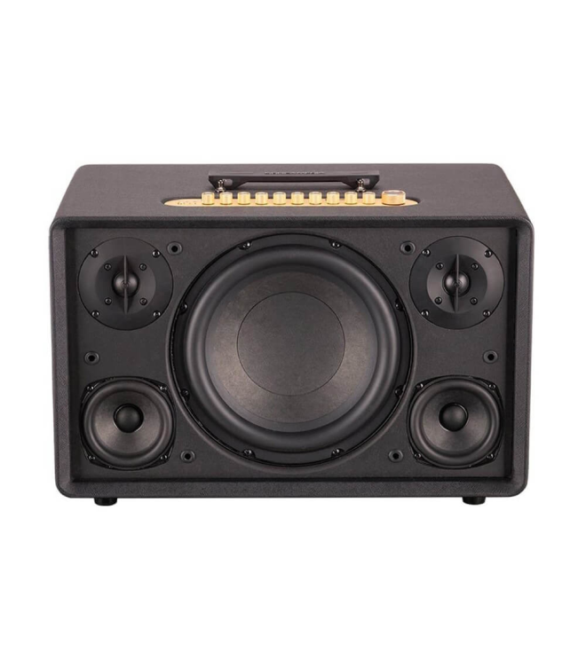 ACNOS FLAC 39 – Loa Karaoke Di Động Cao Cấp 500W RMS