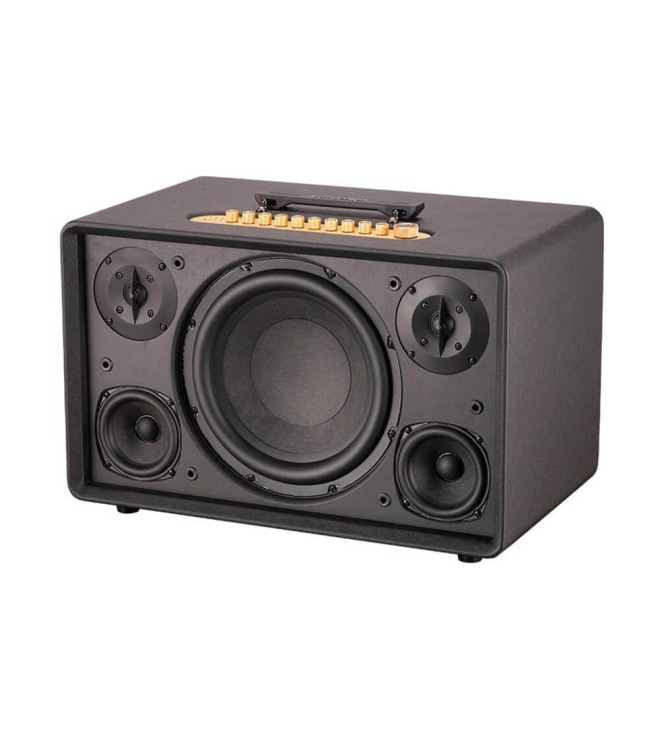 ACNOS FLAC 39 – Loa Karaoke Di Động Cao Cấp 500W RMS