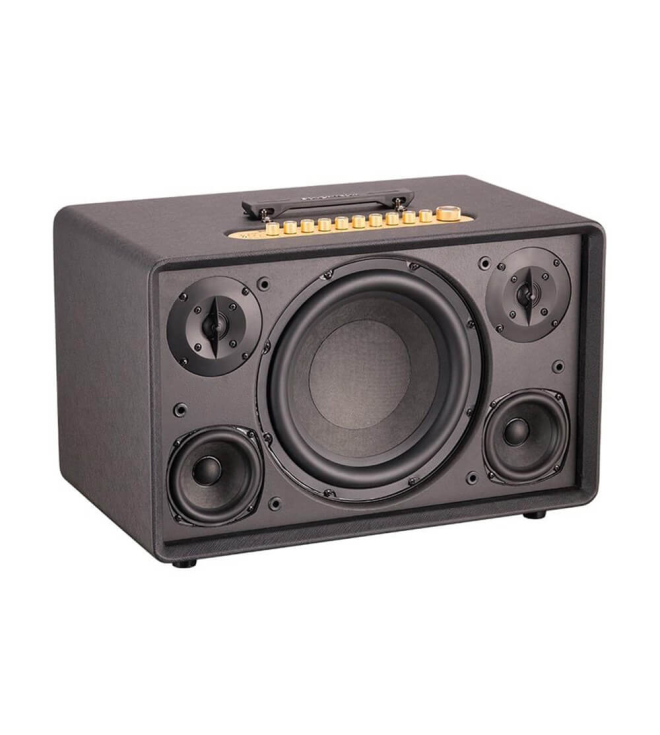 ACNOS FLAC 39 – Loa Karaoke Di Động Cao Cấp 500W RMS