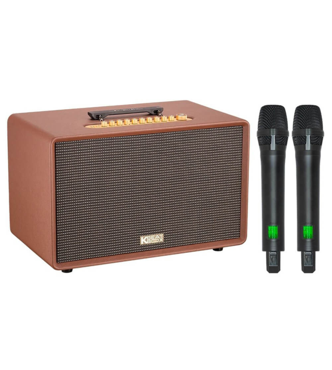 ACNOS FLAC 39 – Loa Karaoke Di Động Cao Cấp 500W RMS