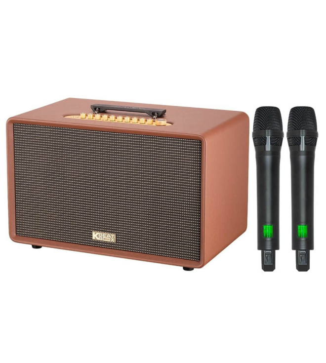 ACNOS FLAC 39 – Loa Karaoke Di Động Cao Cấp 500W RMS