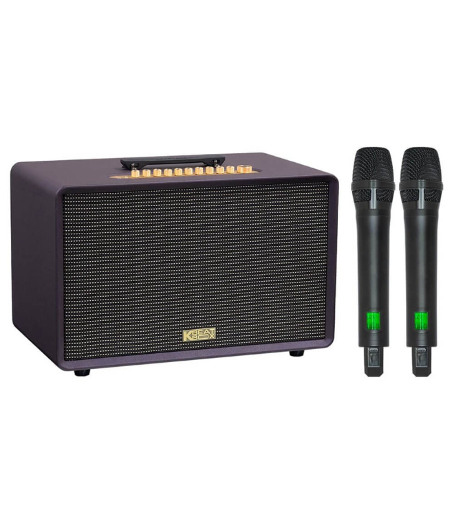 ACNOS FLAC 39 – Loa Karaoke Di Động Cao Cấp 500W RMS