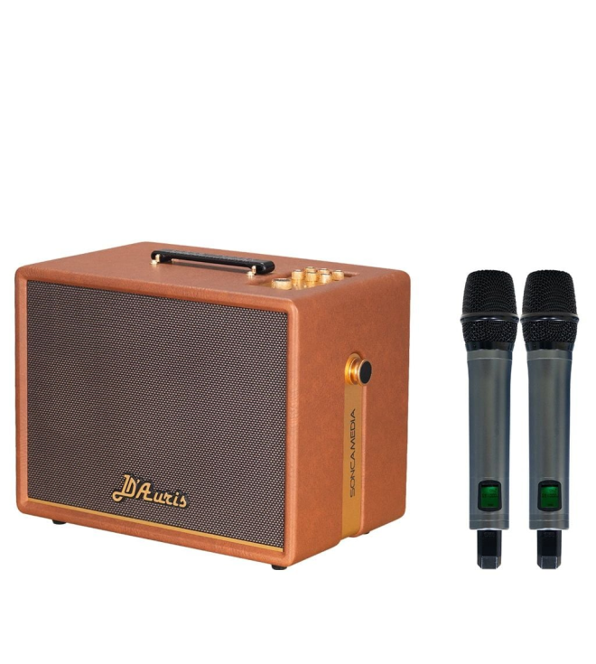 SONCAMEDIA D'Auris 200