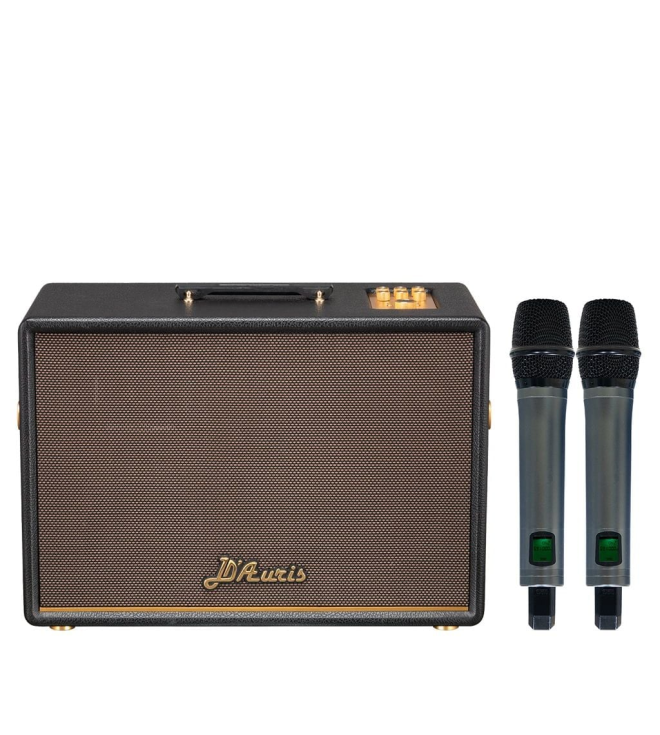 SONCAMEDIA D'Auris 500