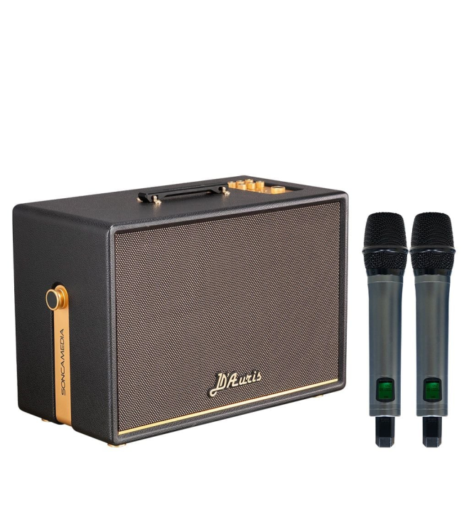 SONCAMEDIA D'Auris 500