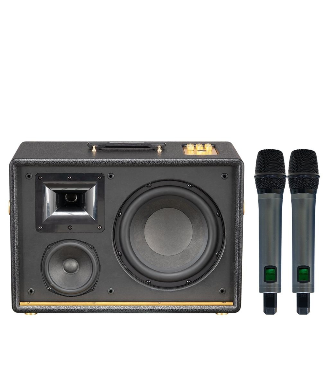 SONCAMEDIA D'Auris 500