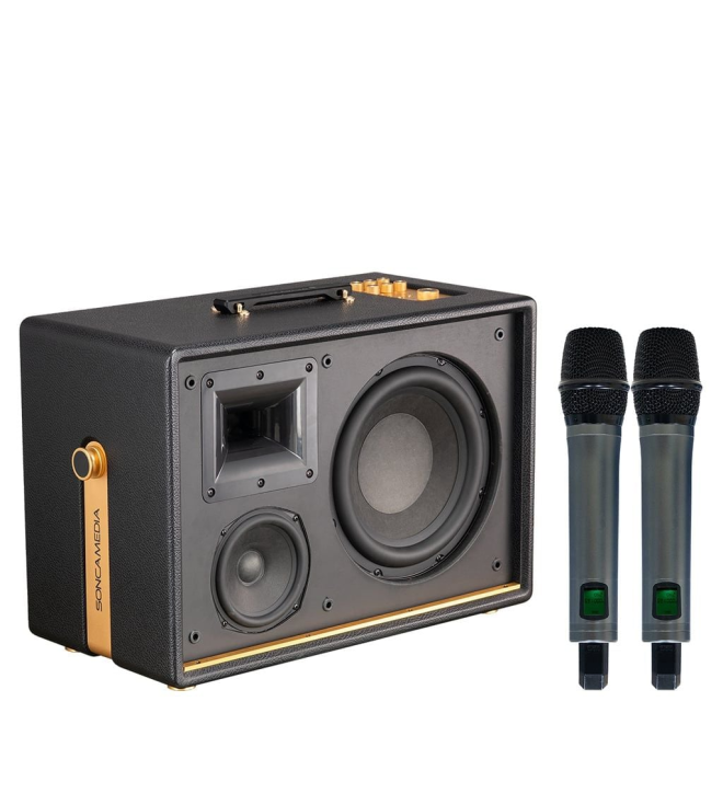 SONCAMEDIA D'Auris 500