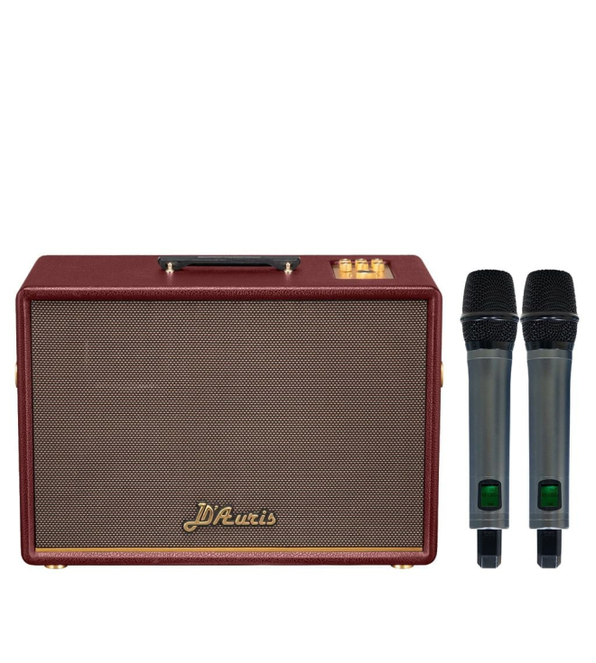 SONCAMEDIA D'Auris 500