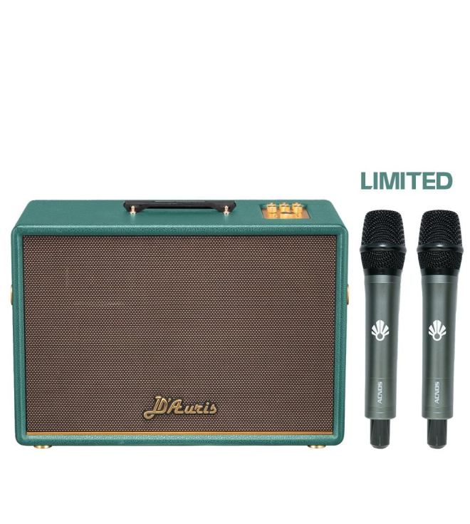 SONCAMEDIA D'Auris 500