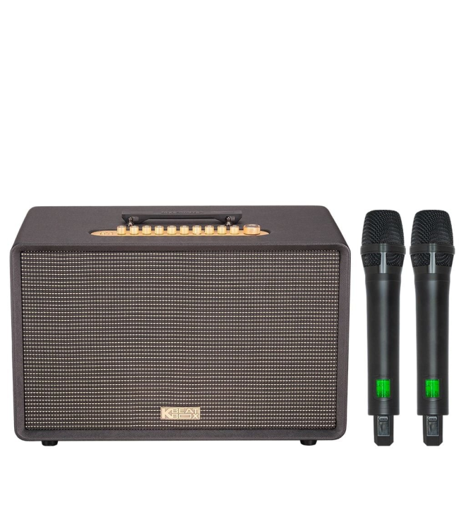 ACNOS FLAC 36 Ultimate – Loa Karaoke Di Động 500W RMS, 2 Chip DSP, Bass Sub 20, Kèm 2 Micro