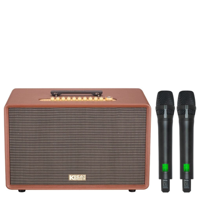 ACNOS FLAC 36 Ultimate – Loa Karaoke Di Động 500W RMS, 2 Chip DSP, Bass Sub 20, Kèm 2 Micro