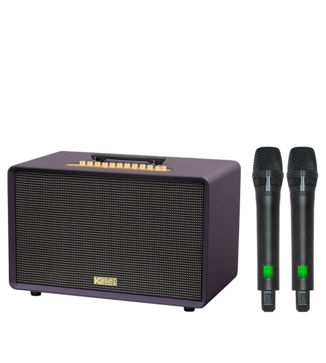 ACNOS FLAC 36 Ultimate – Loa Karaoke Di Động 500W RMS, 2 Chip DSP, Bass Sub 20, Kèm 2 Micro