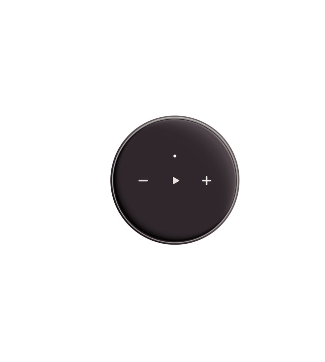 Thiết Bị Giải Mã Âm Thanh Wiim Mini - Đầu phát streaming nhạc số WiiM Mini tích hợp DAC 24-bit/192kHz