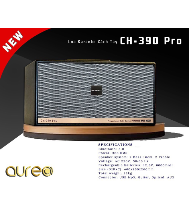 Loa Karaoke Mini Xách Tay Aurec CH390 Pro II