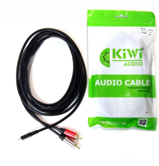 CÁP CHUYỂN ĐỔI ÂM THANH 2RCA TYPE C 3M