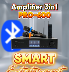 Amplifier 3In1 PRO-600
