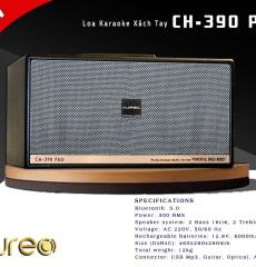 Loa Karaoke Mini Xách Tay Aurec CH390 Pro II